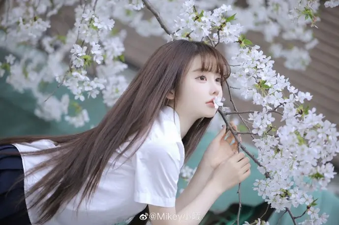 越狱工具界面示意图